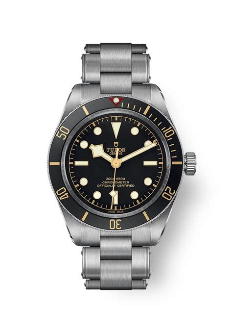 tudor black bay 58 watch.